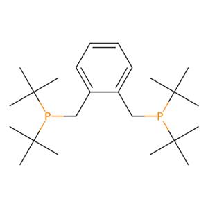 aladdin 阿拉丁 B290985 1,2-双(二叔丁基膦甲基)苯 121954-50-5 96%