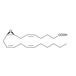 （±）8,9-环氧-5Z，11Z，14Z-三烯酸,(±)8,9-Epoxyeicosa-5Z,11Z,14Z-trienoic acid