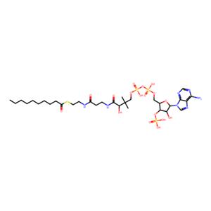 癸酰輔酶 A 水合物,S-decanoate coenzyme A, hydrate