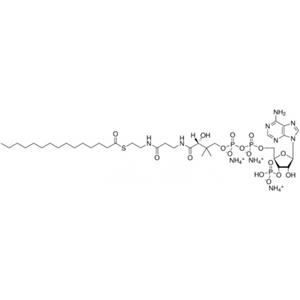 十五烷酰辅酶A（铵盐）,pentadecanoyl Coenzyme A (ammonium salt)