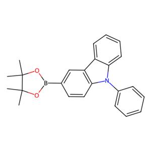 aladdin 阿拉丁 P160071 9-苯基-3-(4,4,5,5-四甲基-1,3,2-二氧杂环戊硼-2-基)咔唑 1126522-69-7 >98.0%