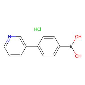 aladdin 阿拉丁 P405761 4-(3-吡啶基)苯硼酸盐酸盐 (含不同量的酸酐) 2377369-59-8 98%
