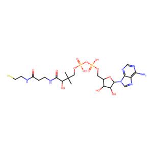 aladdin 阿拉丁 D338683 3′-脱磷酸辅酶A 3633-59-8 ≥90%