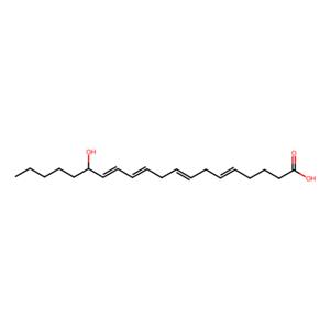 aladdin 阿拉丁 H351341 (±)15-HETE 71030-36-9 98%，100 μg/ml in ethanol