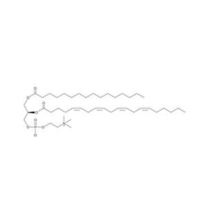 2-花生四烯酰基-1-棕榈酰基-sn-甘油-3-磷酸胆碱,2-Arachidonoyl-1-palmitoyl-sn-glycero-3-phosphocholine