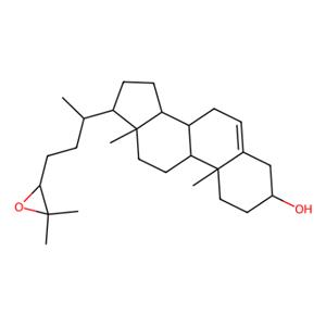 aladdin 阿拉丁 S491757 24(S),25-环氧胆固醇 77058-74-3 98%