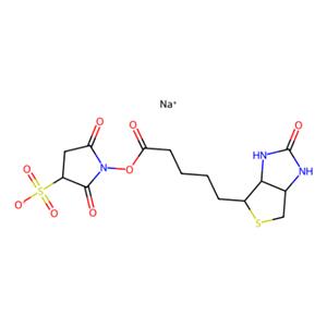 磺基-NHS-生物素,Sulfo-NHS-Biotin