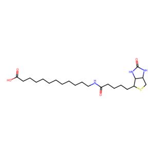aladdin 阿拉丁 N491845 N-生物素十二烷基酸 135447-73-3 98%