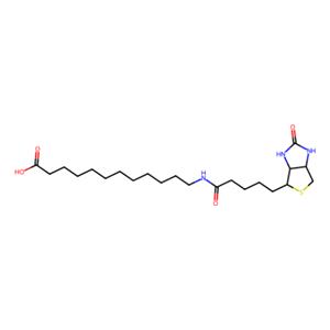 N-生物素十二烷基酸,N-biotinyl-dodecanoic acid