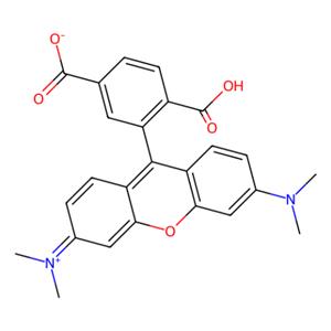aladdin 阿拉丁 C115506 6-羧基四甲基罗丹明 91809-67-5 for fluorescence,≥90%