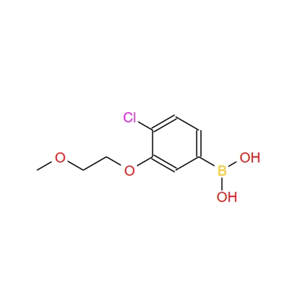4-氯-3-(2-甲氧基乙氧基)苯硼酸 1256355-00-6