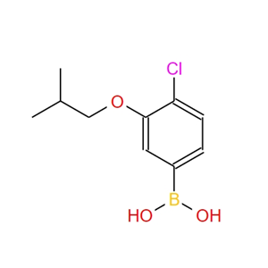4-氯-3-异丁氧基苯硼酸,4-Chloro-3-isobutoxyphenylboronic acid