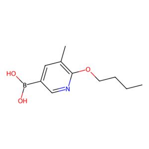 aladdin 阿拉丁 B180662 6-丁氧基-5-甲基吡啶-3-硼酸（含有数量不等的酸酐） 1256355-20-0 95% 