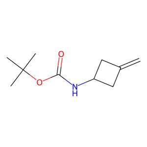 aladdin 阿拉丁 B166890 (3-亚甲基环丁基)氨基甲酸叔丁酯 130369-04-9 95%