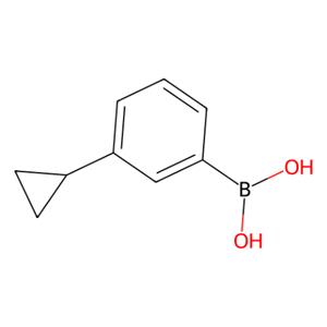 aladdin 阿拉丁 C586249 (3-环丙基苯基)硼酸（含数量不等的酸酐） 1049730-10-0 98%