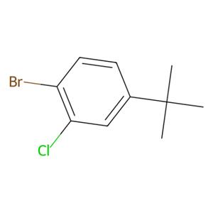 aladdin 阿拉丁 B190300 3-氯-4-溴叔丁基苯 1251032-65-1 96%