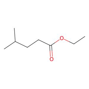 aladdin 阿拉丁 E169064 异己酸乙酯 25415-67-2 97.0% (GC)