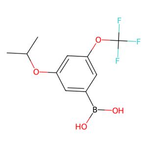 aladdin 阿拉丁 I586797 (3-异丙氧基-5-(三氟甲氧基)苯基)硼酸（含有数量不等的酸酐） 1256346-01-6 97%
