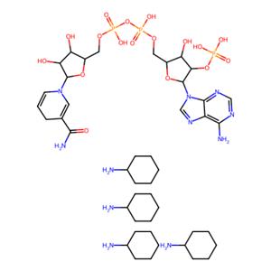 aladdin 阿拉丁 N302057 还原型β-烟酰胺腺嘌呤二核苷酸磷酸四环己铵盐mine) 100929-71-3 ≥96%