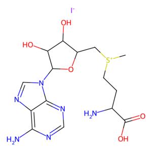 aladdin 阿拉丁 S169773 S-腺苷-L-蛋氨酸碘盐 3493-13-8 80% (HPLC)