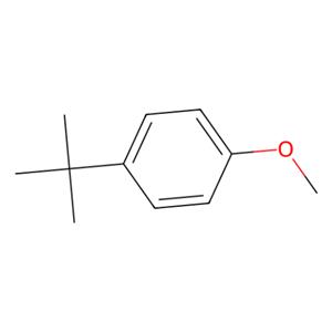 aladdin 阿拉丁 T162716 4-叔丁基苯甲醚 5396-38-3 >98.0%(GC)