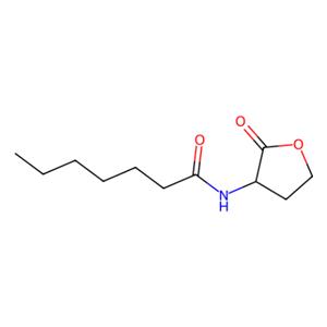 aladdin 阿拉丁 N348009 N-[(3S)-2-氧代四氢-3-呋喃基]庚酰胺 177158-20-2 98%