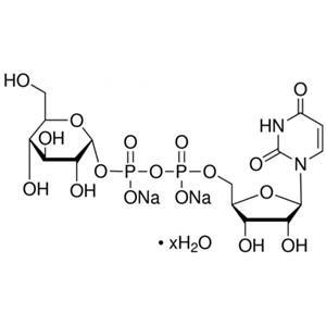 尿苷-5′-二磷酸葡萄糖 二鈉鹽水合物,Uridine 5′-diphosphoglucose disodium salt hydrate