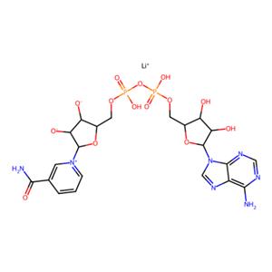 β-烟酰胺腺嘌呤二核苷酸 锂盐,β-Nicotinamide adenine dinucleotide lithium salt