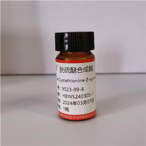 魏氏试剂  胱硫醚合成酶—9023-99-8