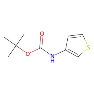 aladdin 阿拉丁 I168235 N-Boc-3-氨基噻吩 19228-91-2 96%