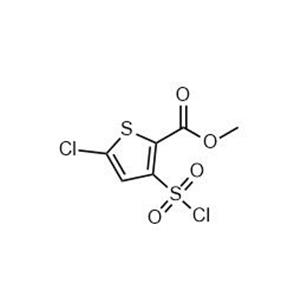 5-氯-3-(氯磺酰基)噻吩-2-甲酸甲酯,Methyl 5-chloro-3-(chlorosulfonyl)thiophene-2-carboxylate