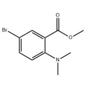 5-溴-2-(二甲基氨基)苯甲酸甲酯,Methyl 5-bromo-2-(dimethylamino)benzoate