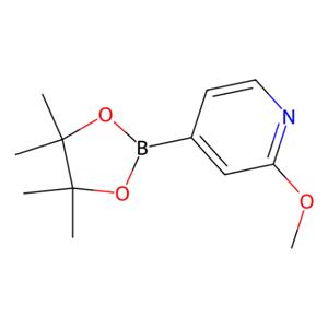 aladdin 阿拉丁 M193293 2-甲氧基吡啶-4-戊酰硼酸 408502-23-8 97%