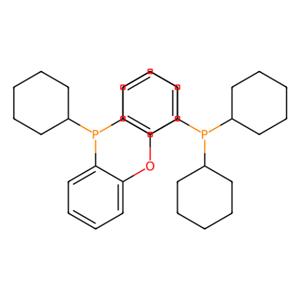 aladdin 阿拉丁 B123231 双(二环己基膦基苯基)醚 434336-16-0 97%