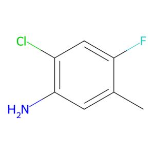 aladdin 阿拉丁 C166666 2-氯-4-氟-5-甲基苯胺 124185-35-9 98%