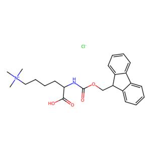 aladdin 阿拉丁 F168351 Fmoc-赖氨酸(Me)3-OH Chloride 201004-29-7 97% 