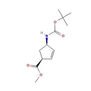 aladdin 阿拉丁 S587610 (1S,4R)-甲基-4-((叔丁氧羰基)氨基)环戊-2-烯羧酸 168683-02-1 97%