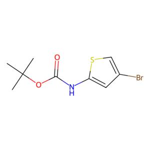 aladdin 阿拉丁 T177762 (4-溴噻吩-2-基)氨基甲酸叔丁酯 868387-45-5 97%