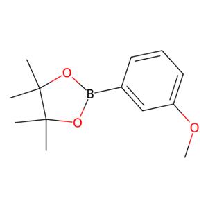 aladdin 阿拉丁 M136234 3-甲氧基苯硼酸频哪醇酯 325142-84-5 97%