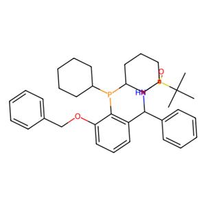 aladdin 阿拉丁 S398837 [S(R)]-N-[(S)-[(3-苄氧基-2-(二环己基膦)苯基)苯甲基]-2-叔丁基亚磺酰胺 2565792-64-3 ≥95%