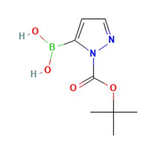 aladdin 阿拉丁 T586649 1-BOC-5-吡唑硼酸（含不等量酸酐） 1217500-54-3 97%