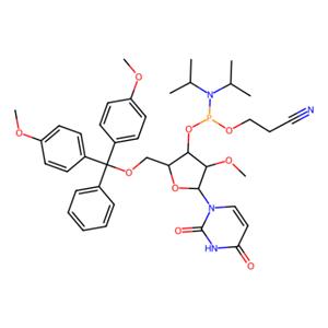 aladdin 阿拉丁 R586372 DMT-2'-O-甲基-rU亚磷酰胺 110764-79-9 95%