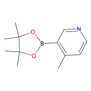 aladdin 阿拉丁 M172293 4-甲基-3-(四甲基-1,3,2-二氧杂硼烷-2-基)吡啶 1171891-31-8 97%