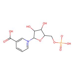 烟酸单核苷酸,Nicotinic acid mononucleotide