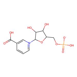 aladdin 阿拉丁 N487022 烟酸单核苷酸 321-02-8 95%