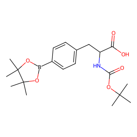 Boc-4-頻哪醇硼酸酯-L-苯丙氨酸,Boc-4-pinacol borate L-phenylalanine