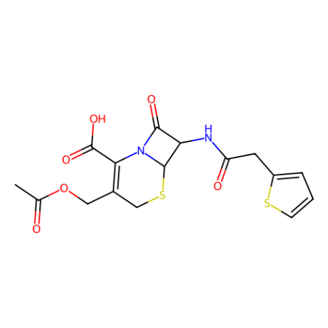 頭孢噻吩,Cephalothin