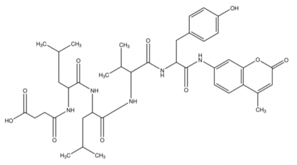 N-琥珀酰-Leu-Leu-Val-Tyr-7-氨基-4-甲基香豆素(三氟乙酸盐）,Suc-Leu-Leu-Val-Tyr-AMC(TFA)