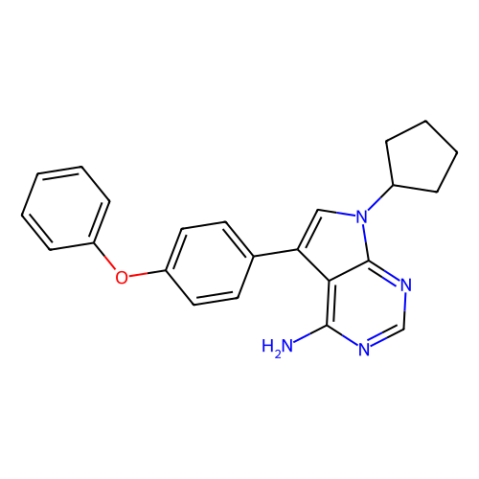 RK-24466,RK-24466