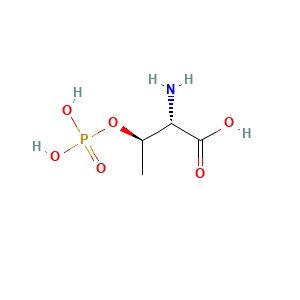 O-磷酸- L -苏氨酸,O-Phospho-L-threonine